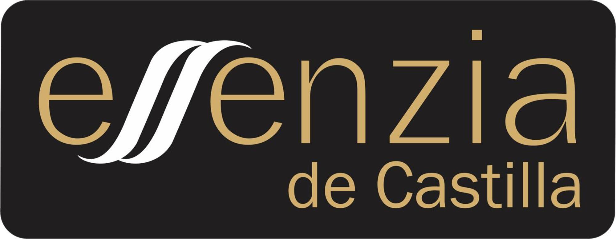 Aparthotel Essenzia De Castilla Aranda de Duero Eksteriør billede